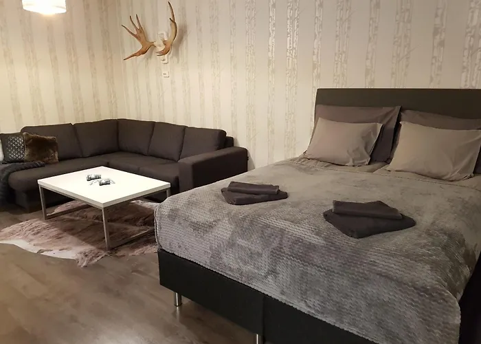 Vartiomaja - Beautiful Apartment Near Arktikum