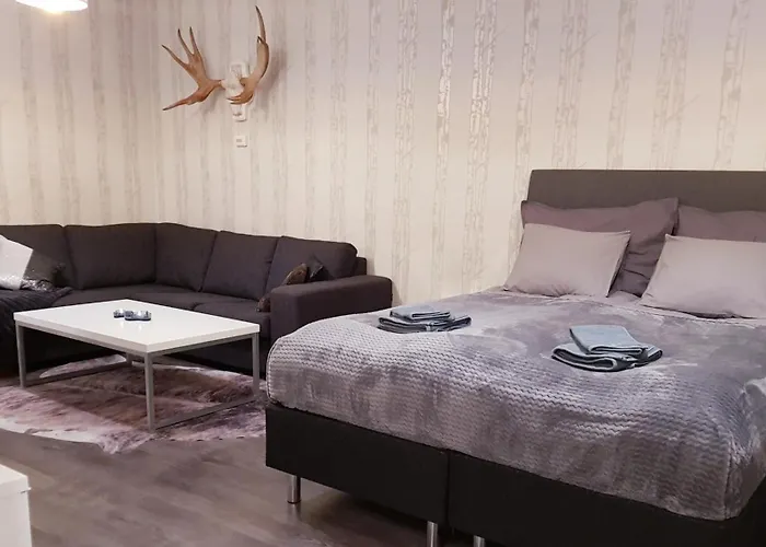 Vartiomaja - Beautiful Apartment Near Arktikum