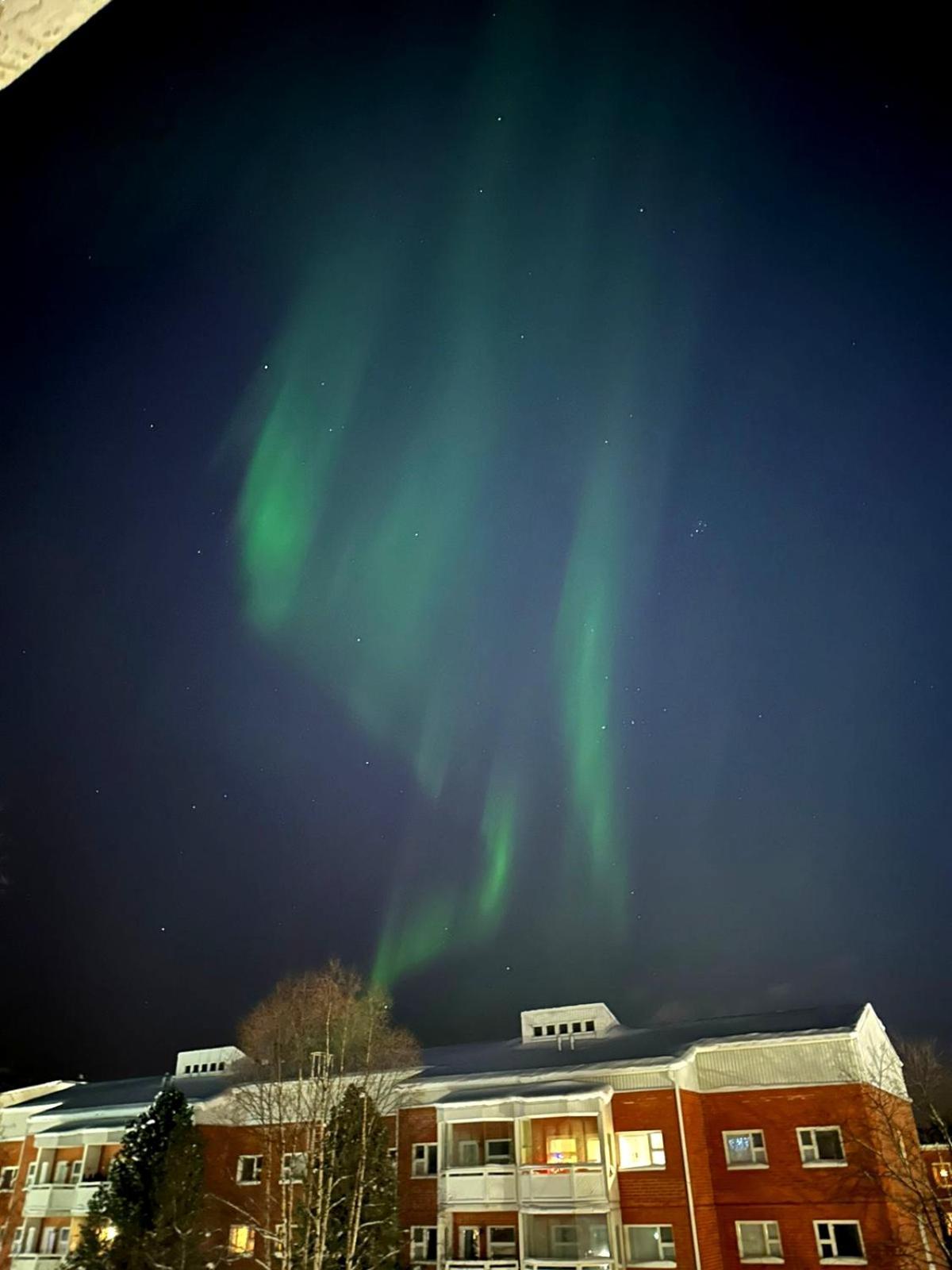 Vartiomaja - Beautiful Near Arktikum *